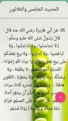 أقوال السلف من جامع الحكم android App screenshot 4